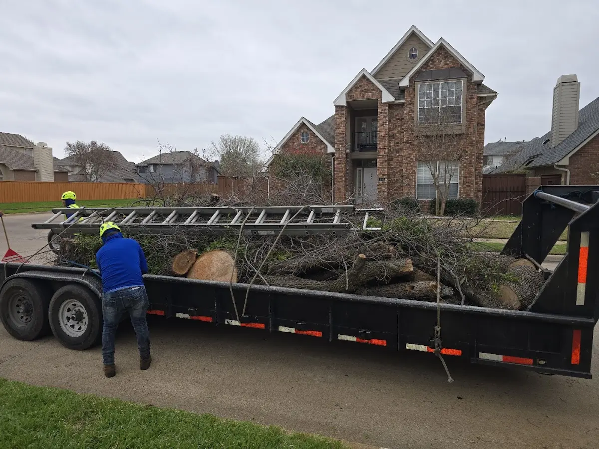 Expert Lot Clearing with proper safety equipment in Callender